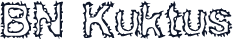 BN Kuktus