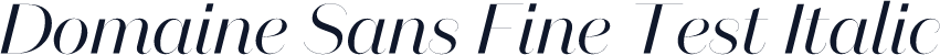 Domaine Sans Fine Test Italic