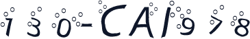 130-CAI978