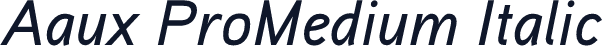 Aaux ProMedium Italic