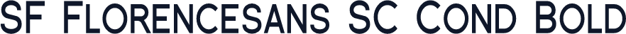 SF Florencesans SC Cond Bold
