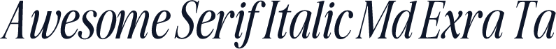 Awesome Serif Italic Md Exra Ta