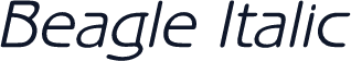 Beagle Italic