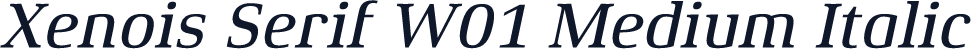 Xenois Serif W01 Medium Italic