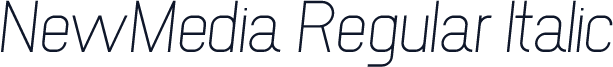 NewMedia Regular Italic