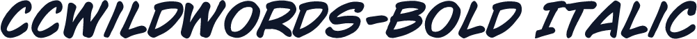 CCWildWords-Bold Italic