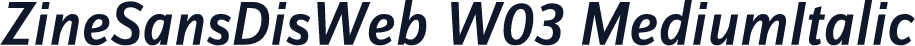 ZineSansDisWeb W03 MediumItalic