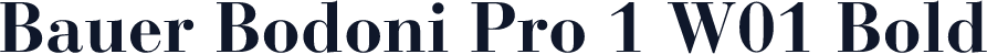 Bauer Bodoni Pro 1 W01 Bold