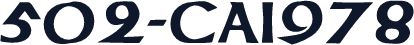 502-CAI978