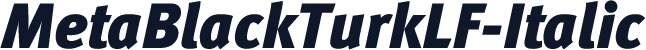 MetaBlackTurkLF-Italic