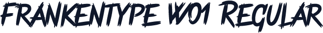 Frankentype W01 Regular
