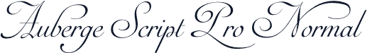 Auberge Script Pro Normal