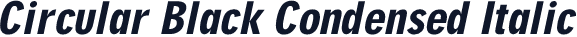Circular Black Condensed Italic