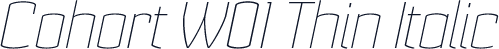 Cohort W01 Thin Italic