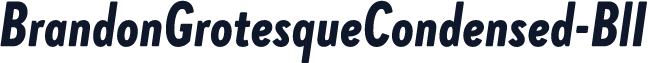 BrandonGrotesqueCondensed-BlI