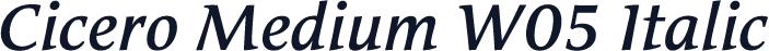 Cicero Medium W05 Italic