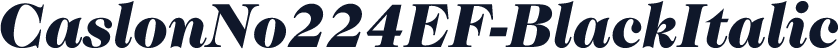 CaslonNo224EF-BlackItalic