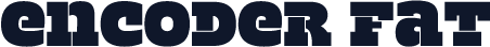 ☞Encoder Fat