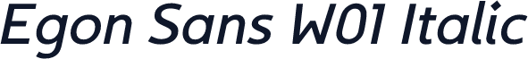 Egon Sans W01 Italic