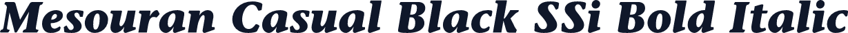 Mesouran Casual Black SSi Bold Italic