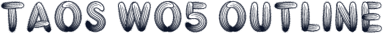 Taos W05 Outline
