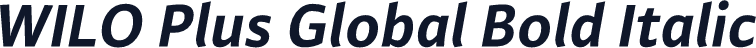 WILO Plus Global Bold Italic