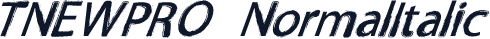 TNEWPRO NormalItalic
