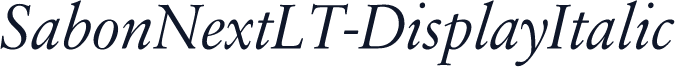 SabonNextLT-DisplayItalic