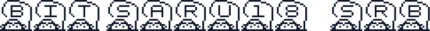 Bit SARU18 (sRB)