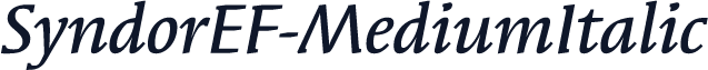 SyndorEF-MediumItalic