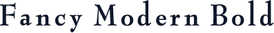 Fancy Modern Bold