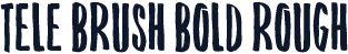 Tele Brush Bold Rough