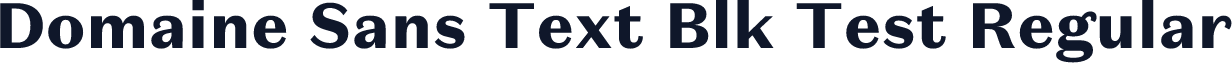 Domaine Sans Text Blk Test Regular