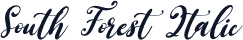 South Forest Italic
