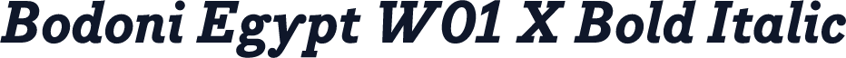 Bodoni Egypt W01 X Bold Italic