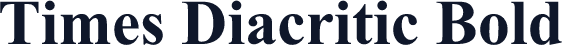 Times Diacritic Bold