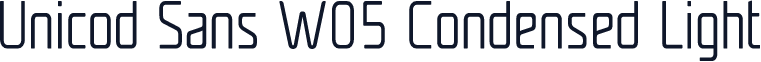 Unicod Sans W05 Condensed Light
