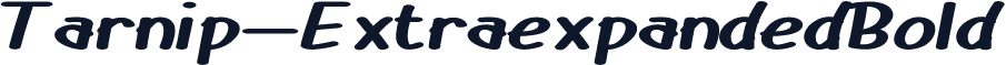 Tarnip-ExtraexpandedBold