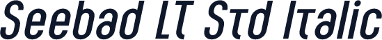 Seebad LT Std Italic