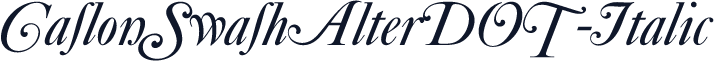 CaslonSwashAlterDOT-Italic