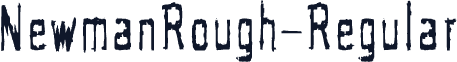 NewmanRough-Regular