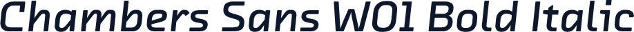 Chambers Sans W01 Bold Italic
