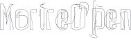 MorireOpen