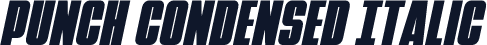Punch Condensed Italic
