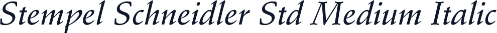 Stempel Schneidler Std Medium Italic