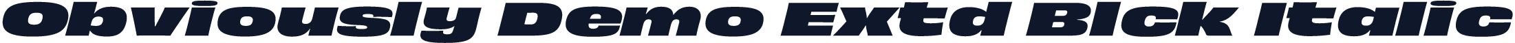 Obviously Demo Extd Blck Italic