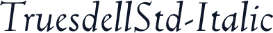 TruesdellStd-Italic