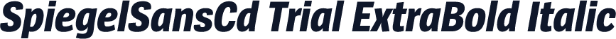 SpiegelSansCd Trial ExtraBold Italic