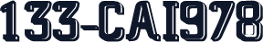 133-CAI978