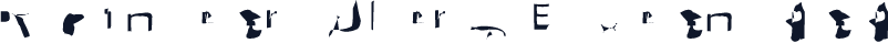 Pointer UltraExtended